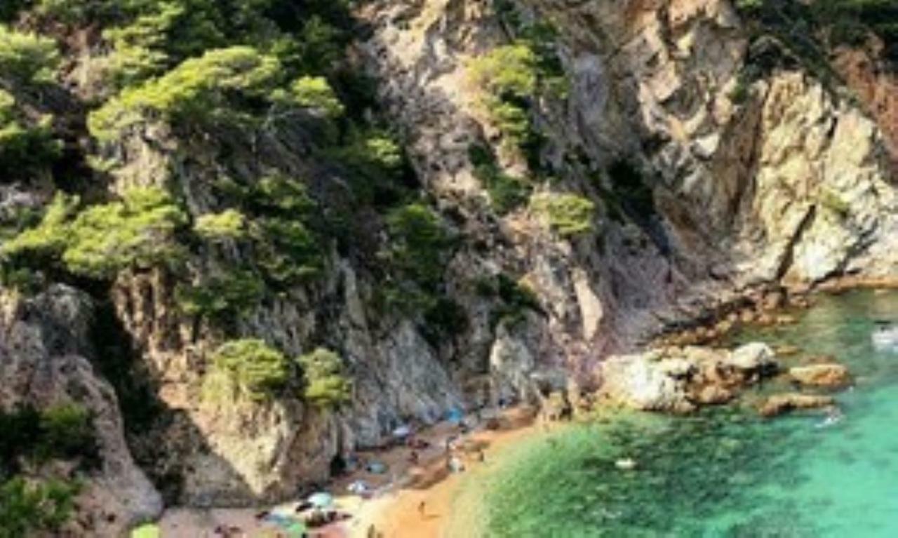 赫罗纳Cala Salions, Chalana I公寓 外观 照片