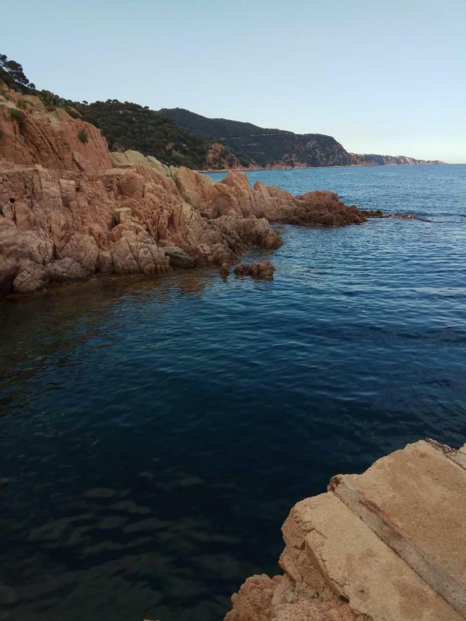 赫罗纳Cala Salions, Chalana I公寓 外观 照片